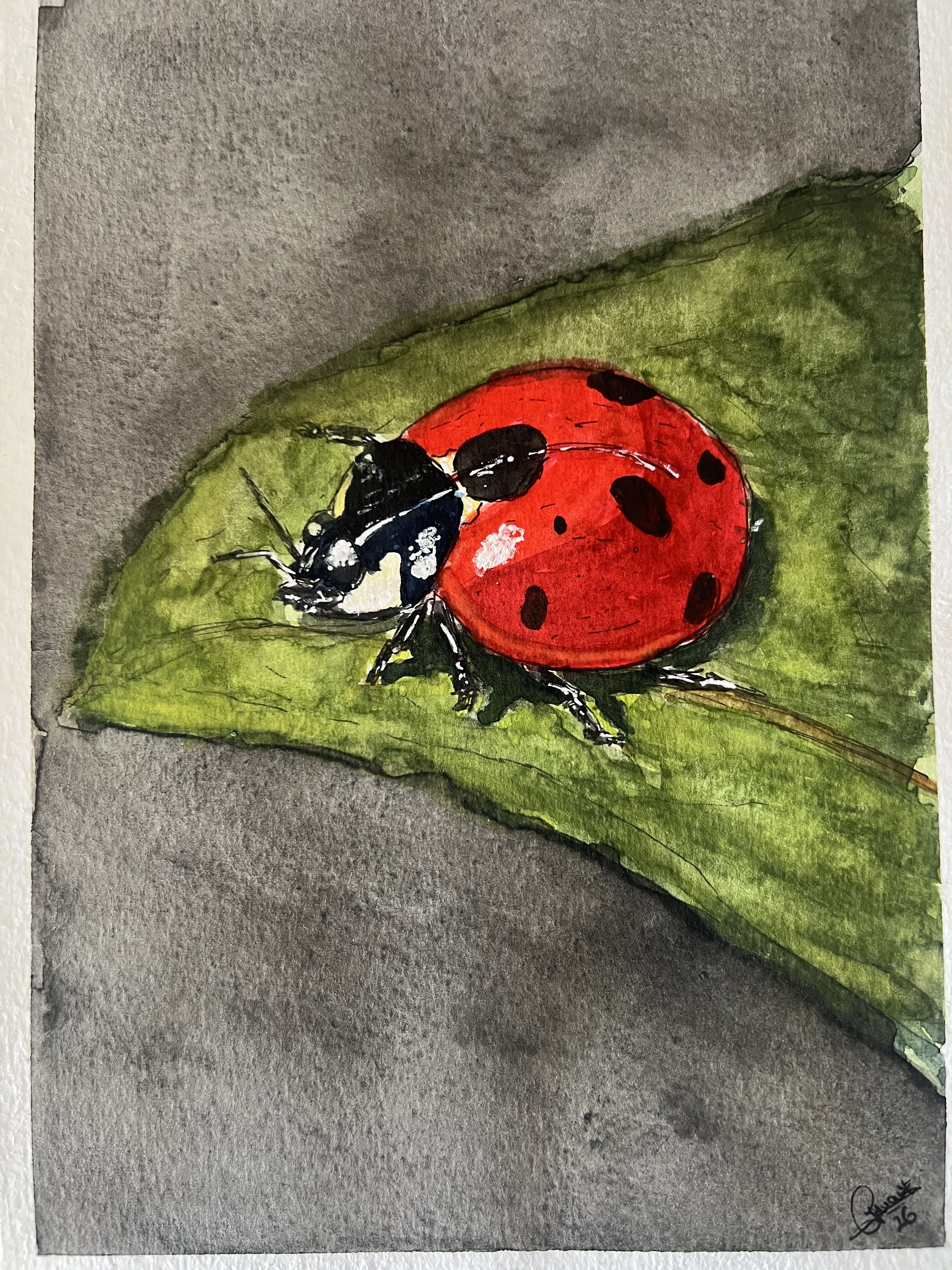 Watercolour artwork